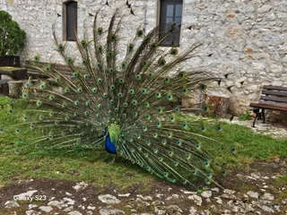 Tour Albania - The Pearl of Europe