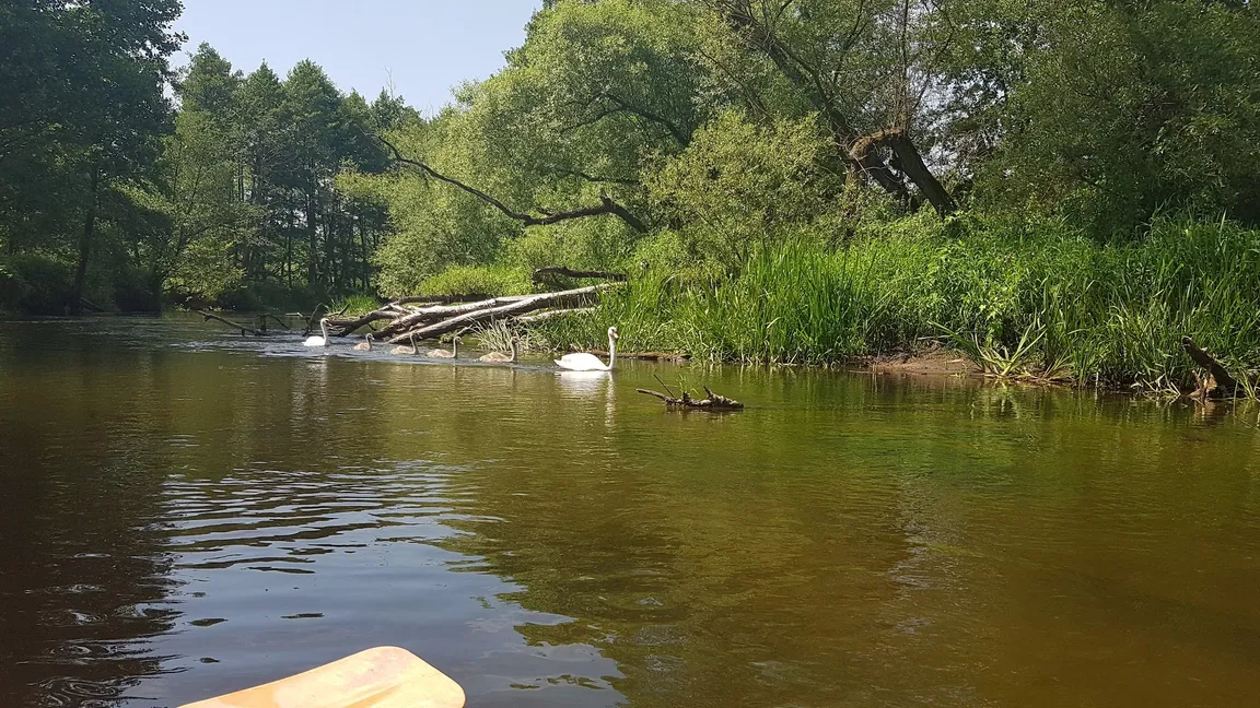Brodnicki Park Krajobrazowy