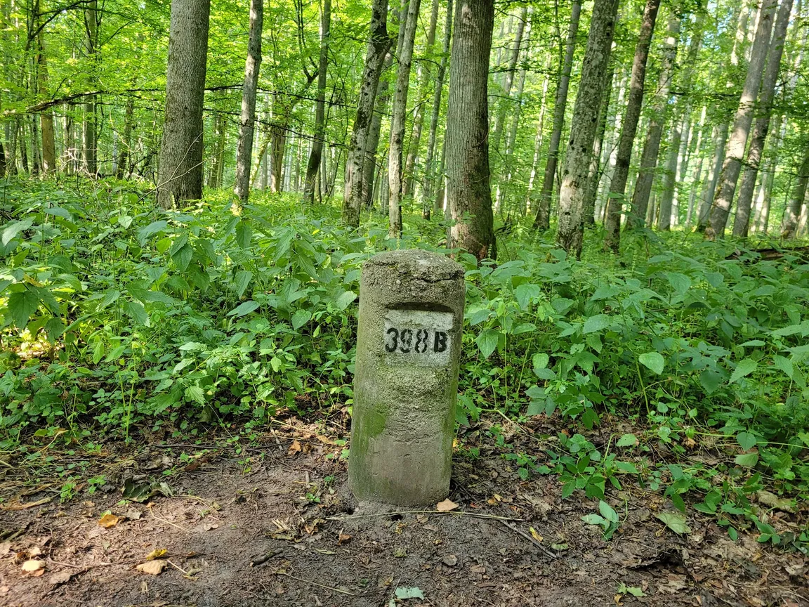 Rezerwat ścisły Białowieskiego Parku Narodowego