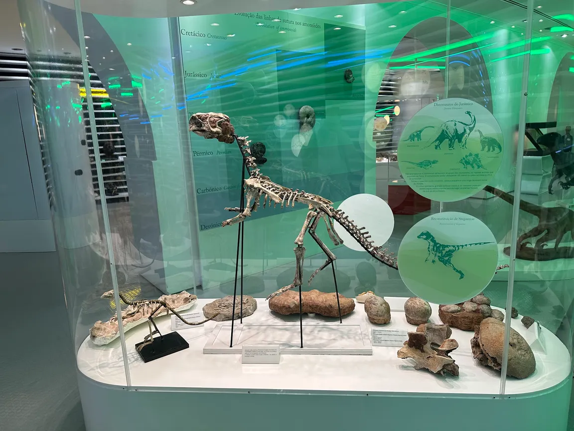 Museu de História Natural de Sintra