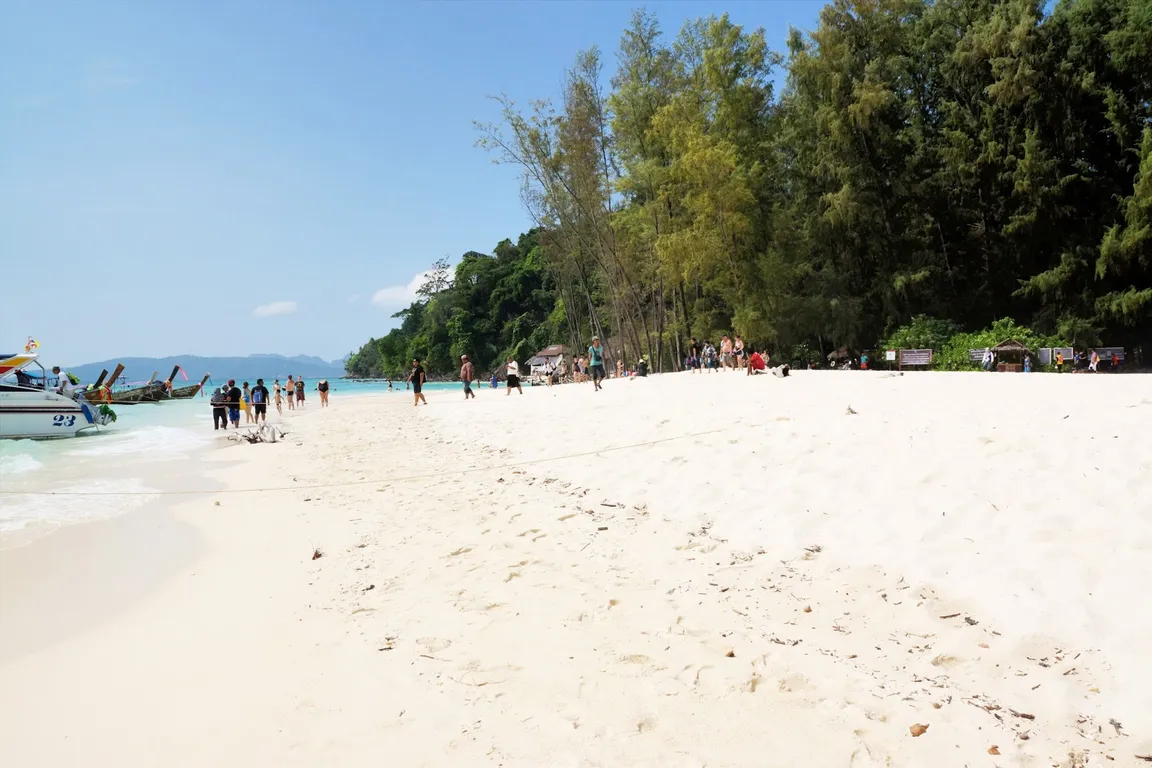 Bamboo Beach