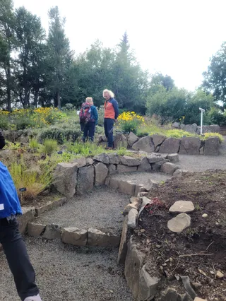 Arctic Plant Collection