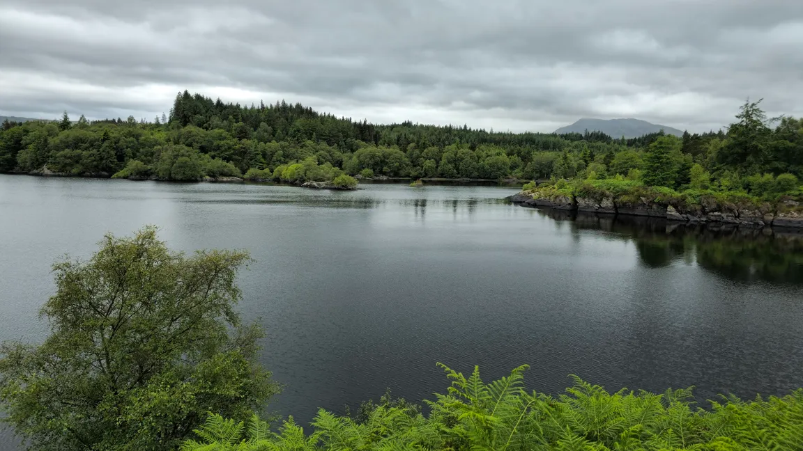 Gwydir Forest Park