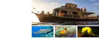 Princess Divers - Scuba Diving Phi Phi Island