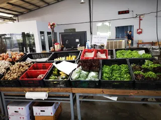 Kok Fah Technology Farm Pte Ltd