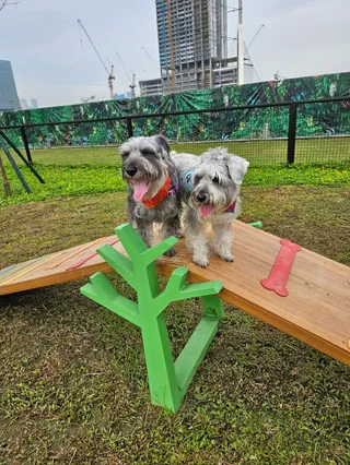 Parklinks Pet Park