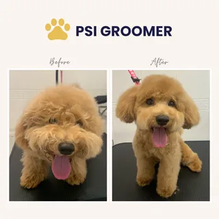 PSI GROOMER
