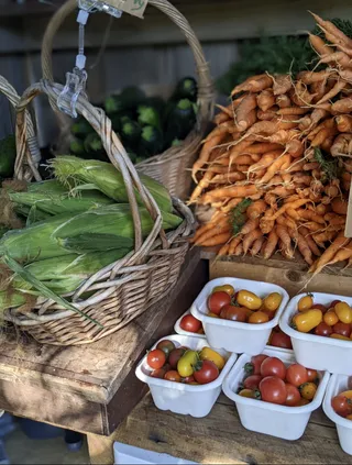 Farm Raiser