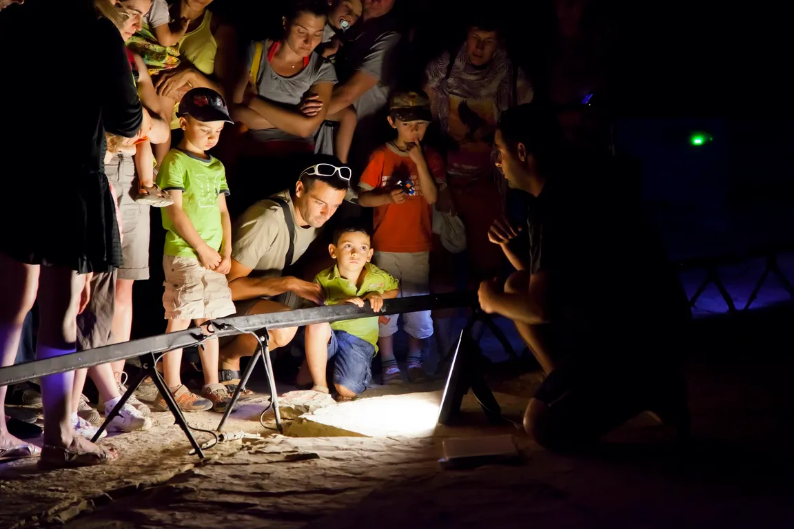 Beach to pterosaurs