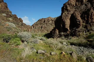 Sendero barranco hondo