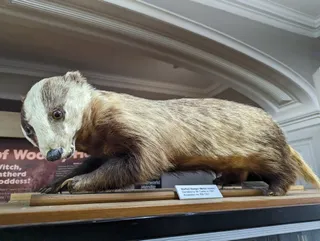 Wells & Mendip Museum