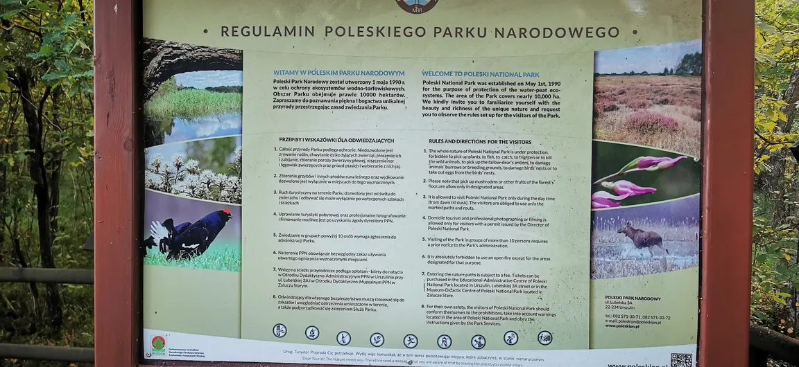 Pole wypoczynkowe - Babsk