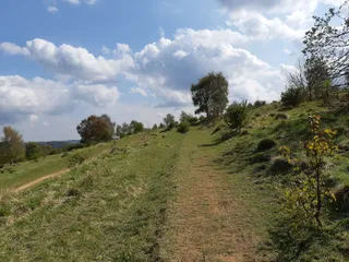 Rudge Hill Nature Reserve