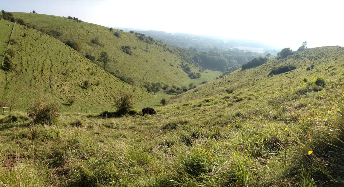 Kent Downs National Landscape