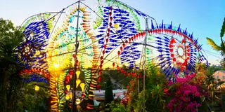 Randyland