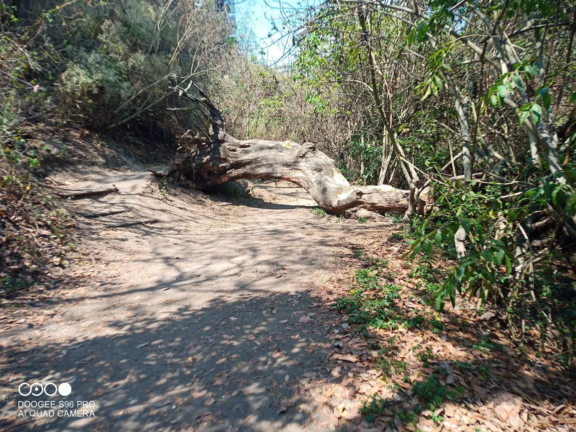 Parque Ecológico y Deportivo Cayalá