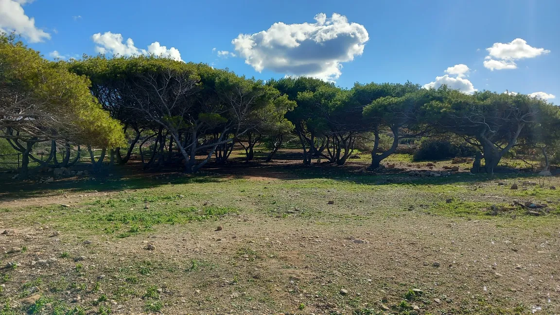 Camping Site - Tal Ful