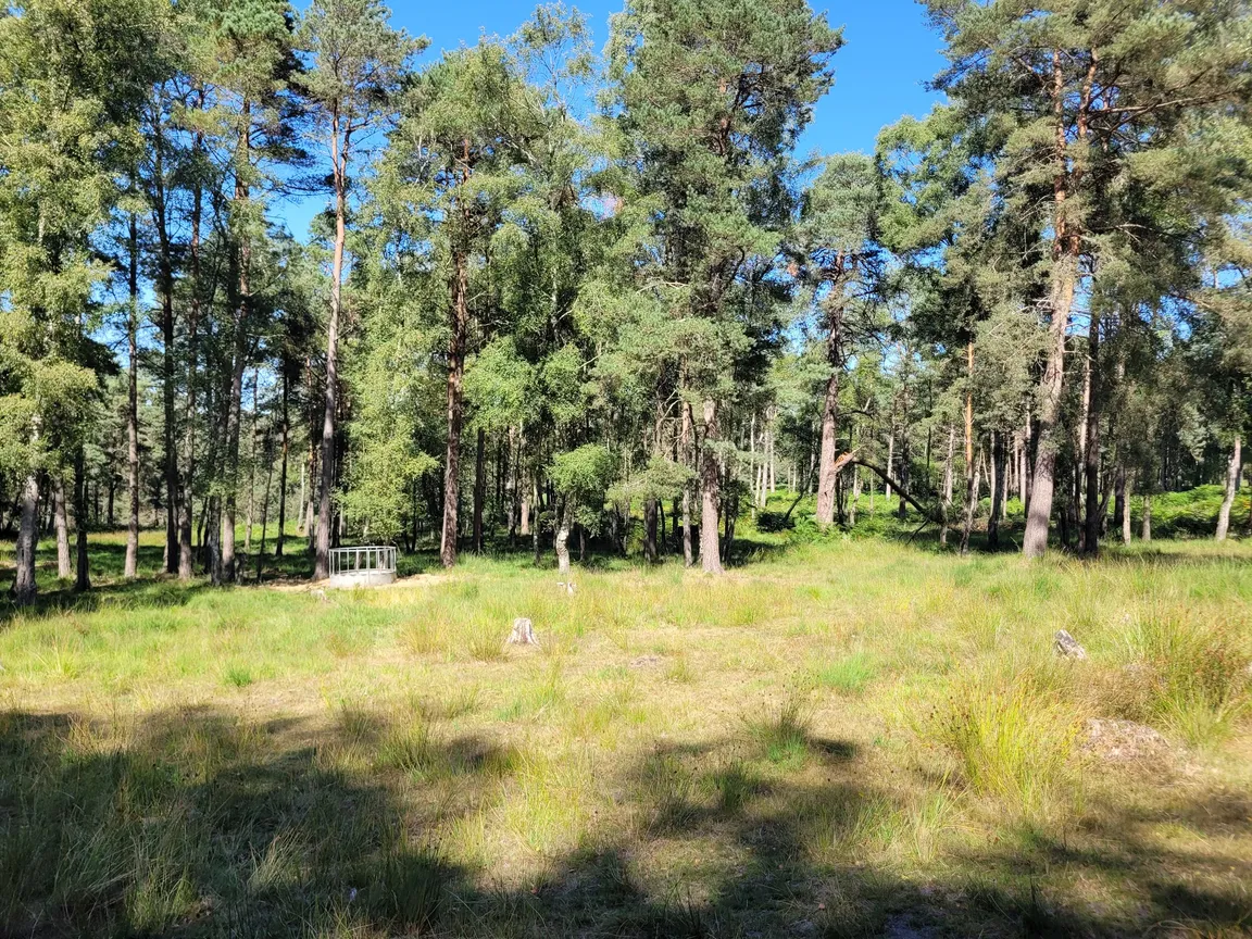Old Lodge Nature Reserve
