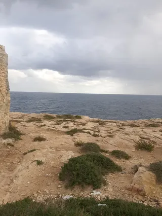 Il-Ponta ta' Delimara