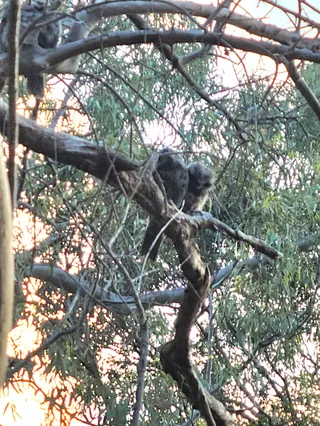 Tangari Regional Park