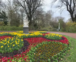 Fontäne im Teich Bürgerwiese