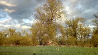 Nadwarciański Park Krajobrazowy