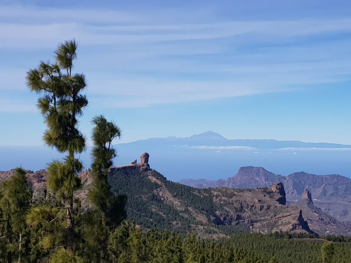 Ruta de La Plata