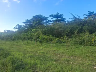 Corredor Ecológico del Noreste