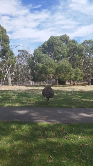 Cleland National Park