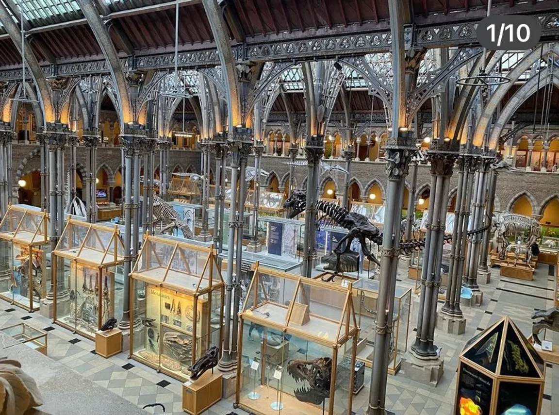 Oxford University Museum of Natural History