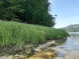 Jezioro Rożnowskie