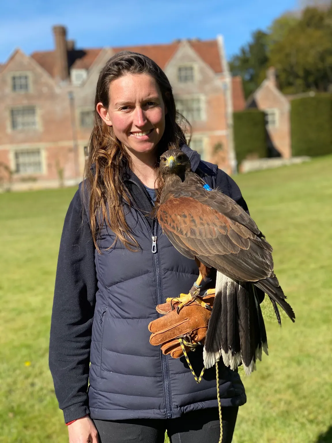 Hampshire Hawk Walks