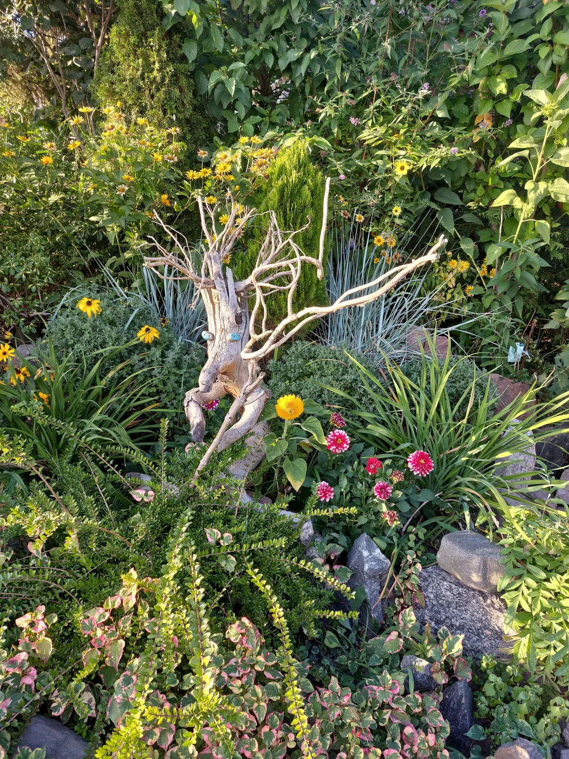 Wooden Sculptures Garden