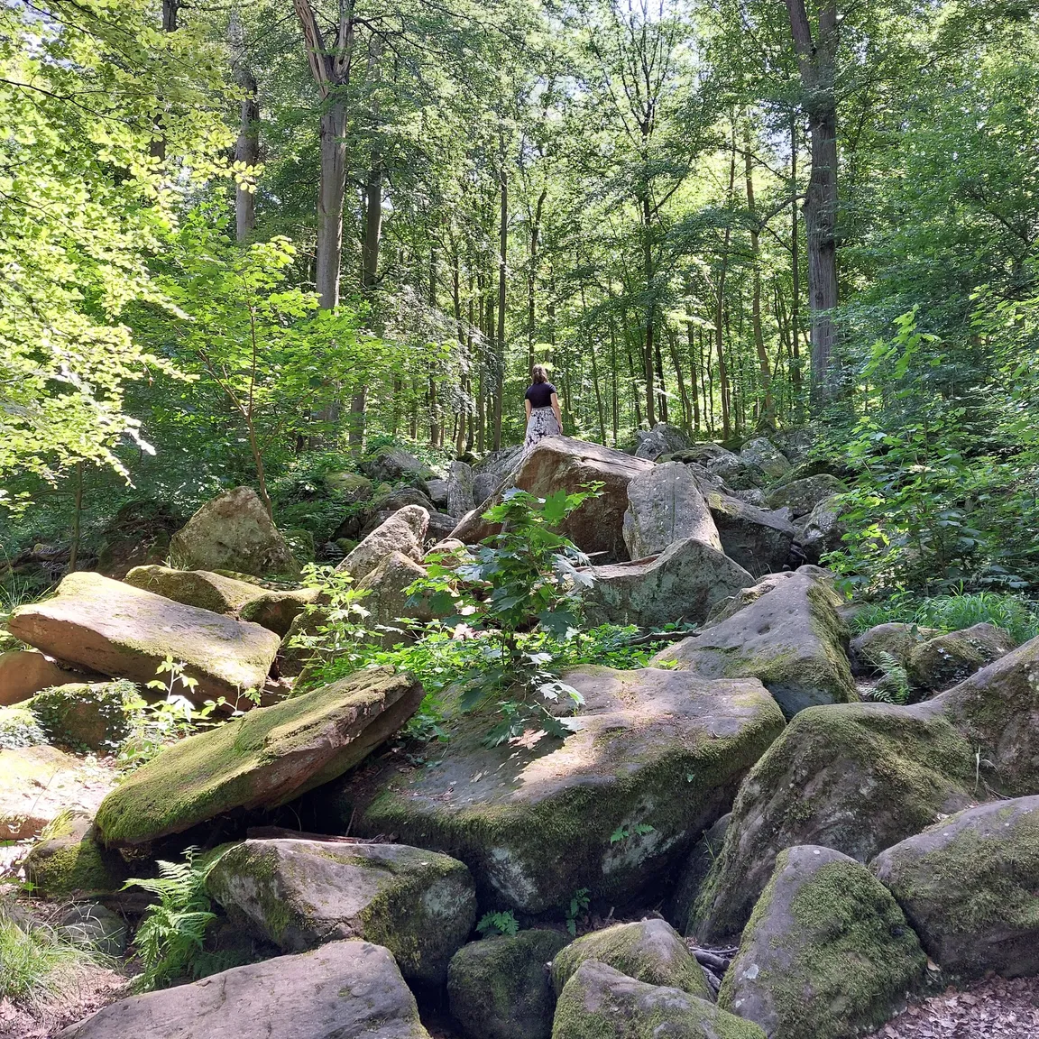 Felsenmeer
