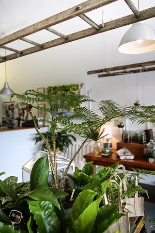 The Soul Pantry Collective