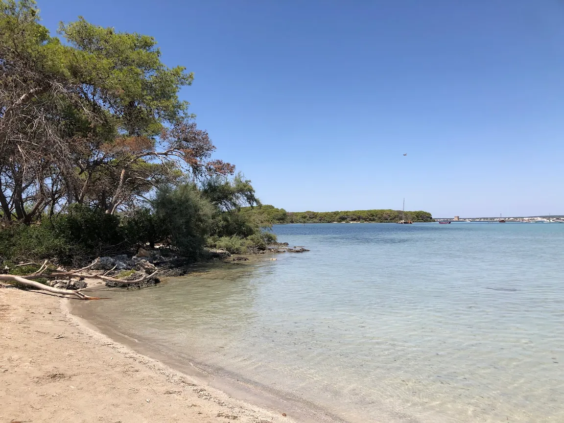 Isola dei conigli