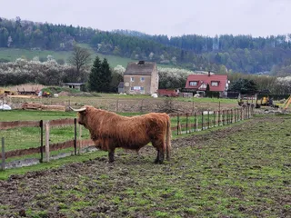 Szlak Ginących Zawodów