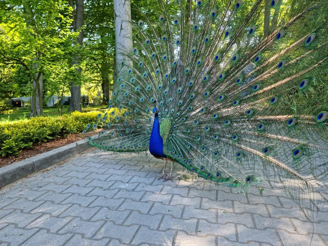 Ogród Zoologiczny w Krakowie