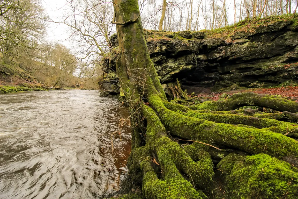 Wallace’s Cave