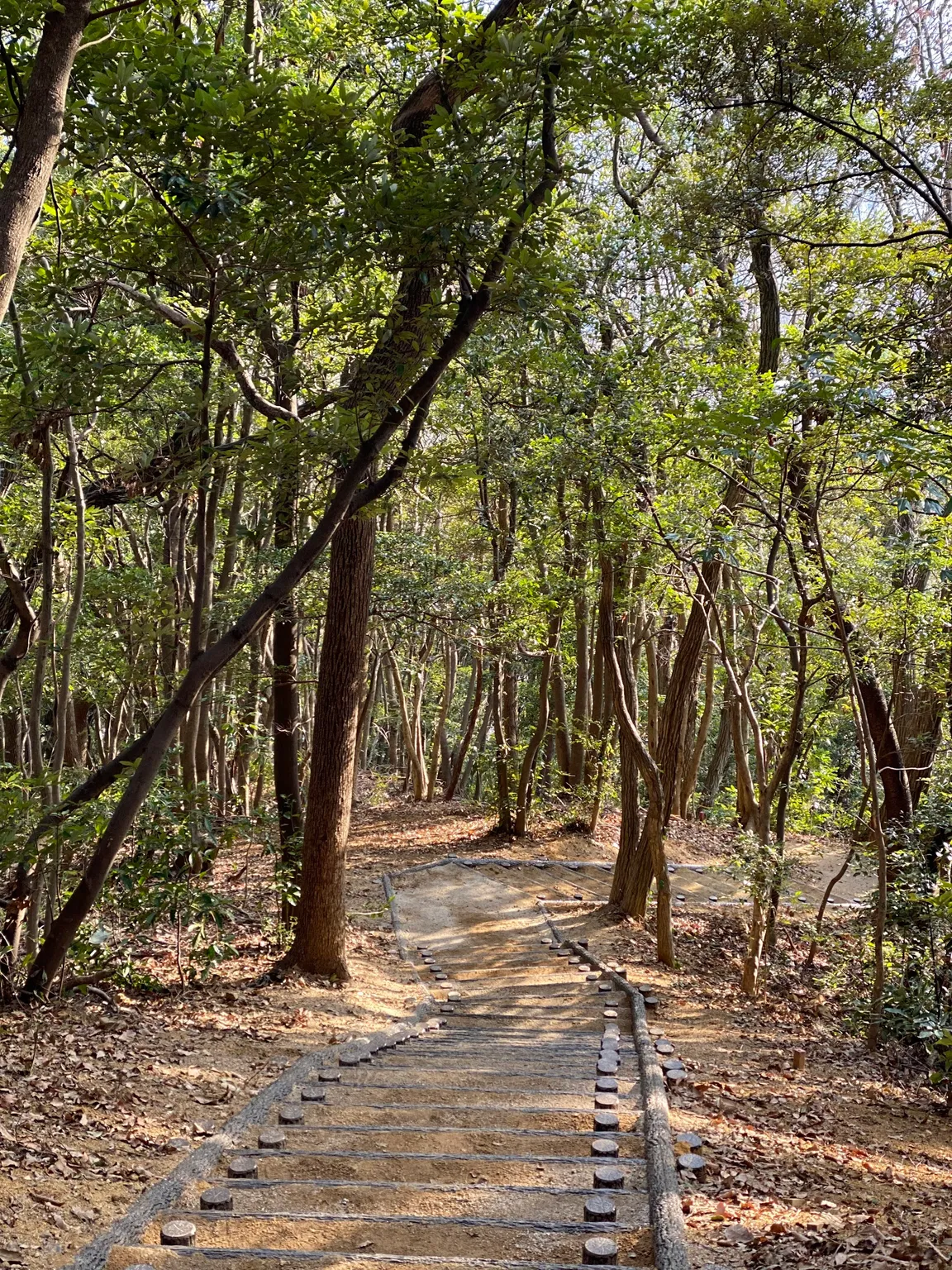 鴻巣山遊歩道