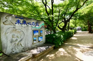 The Hill Of Hope