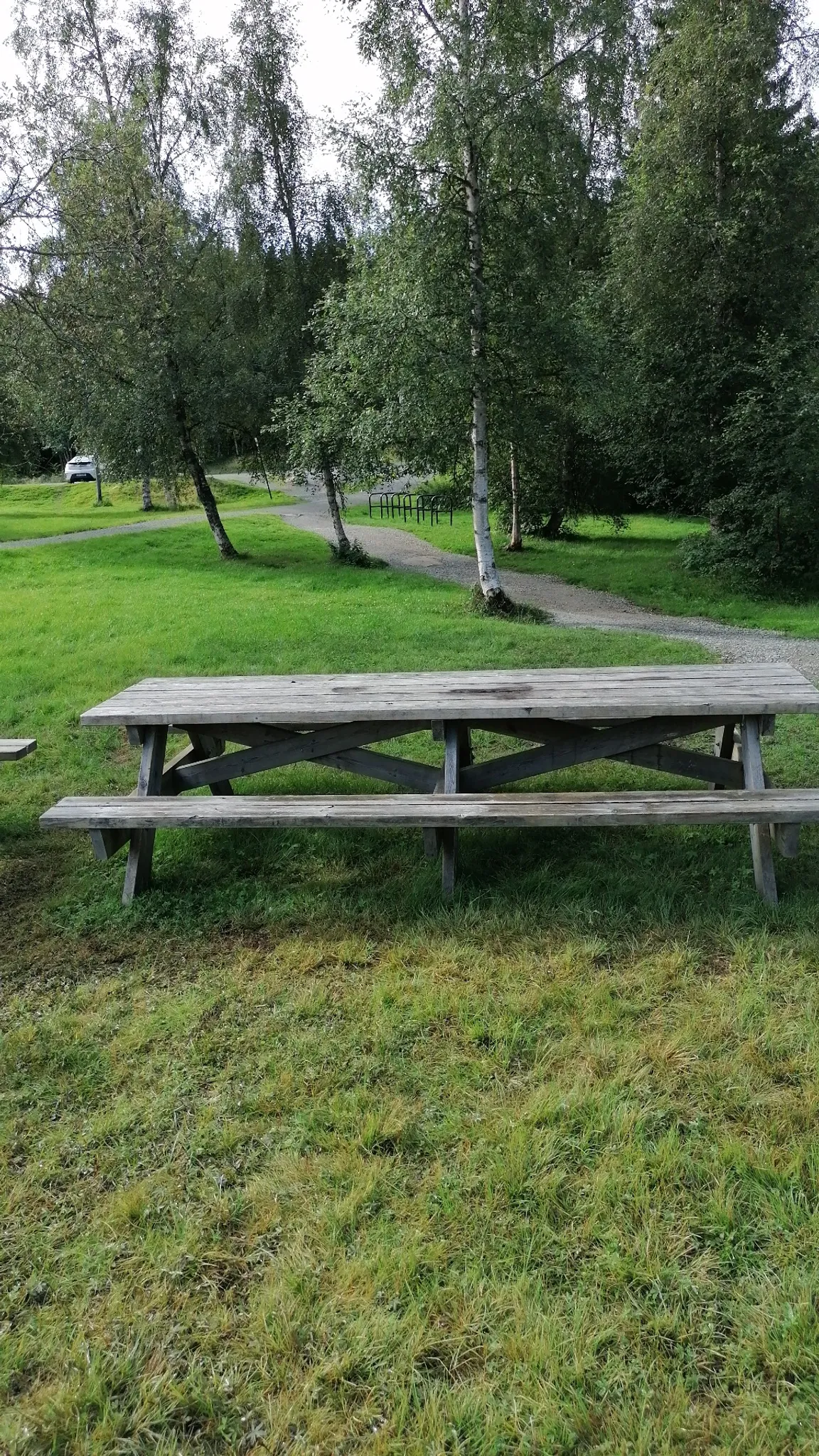 Baklidammen