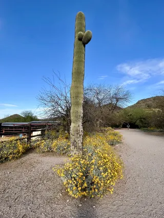 Phoenix Mountains Preserve
