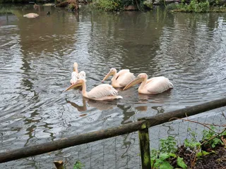 Newquay Zoo