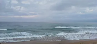 Great Ocean Road Tours | Wildlife Tours Melbourne