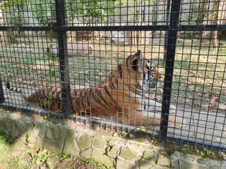 Ogród Zoologiczny w Bukareszcie