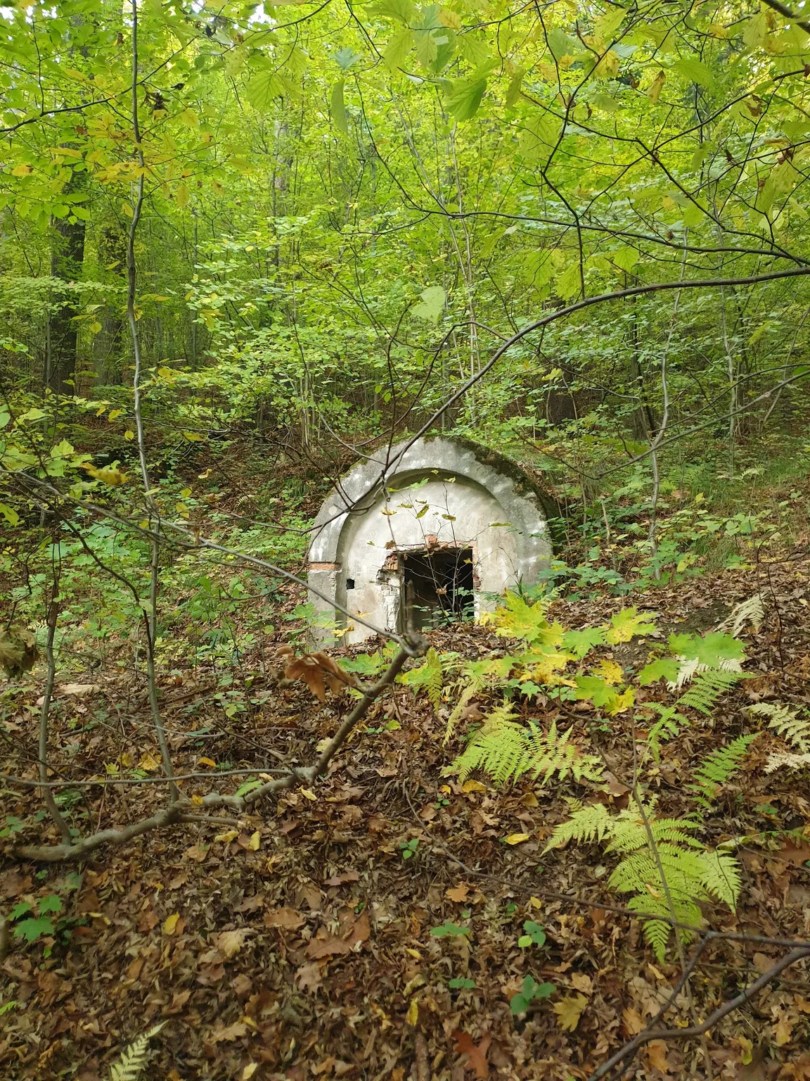 Sztolnie