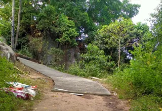 Grape View Point