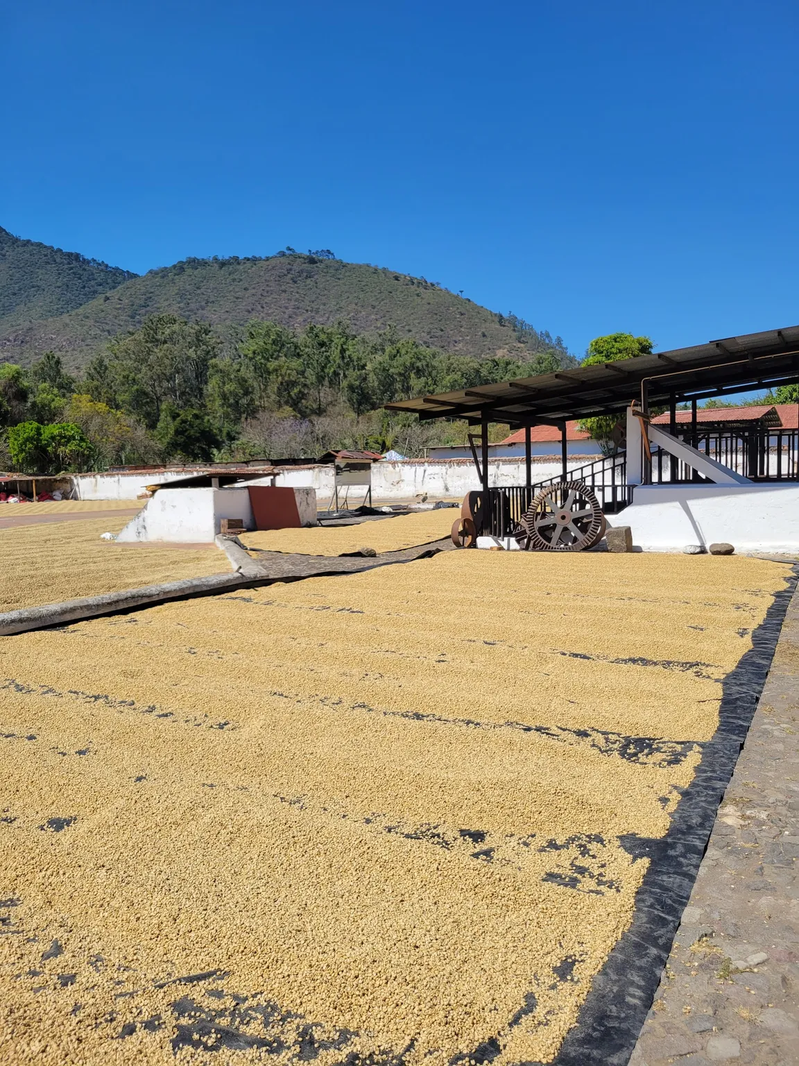 Finca La Azotea