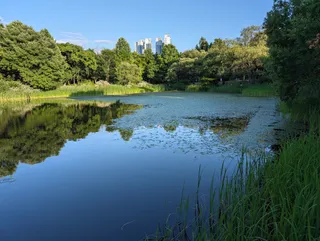 Seoul Forest Family Yard
